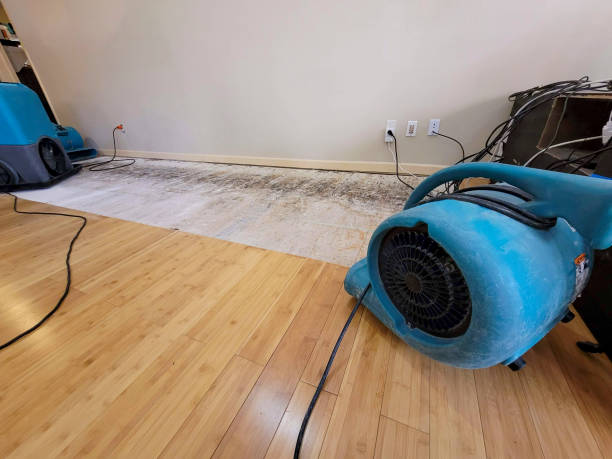 Professional Emergency Water Damage technician working in Jasper, AL